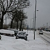 Bezpieczeństwo na drogach - wyniki badań TNS Pentor