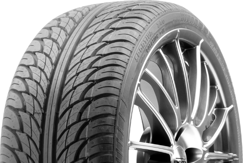 Sportiva Z40 205/40R17 84 W XL, FR